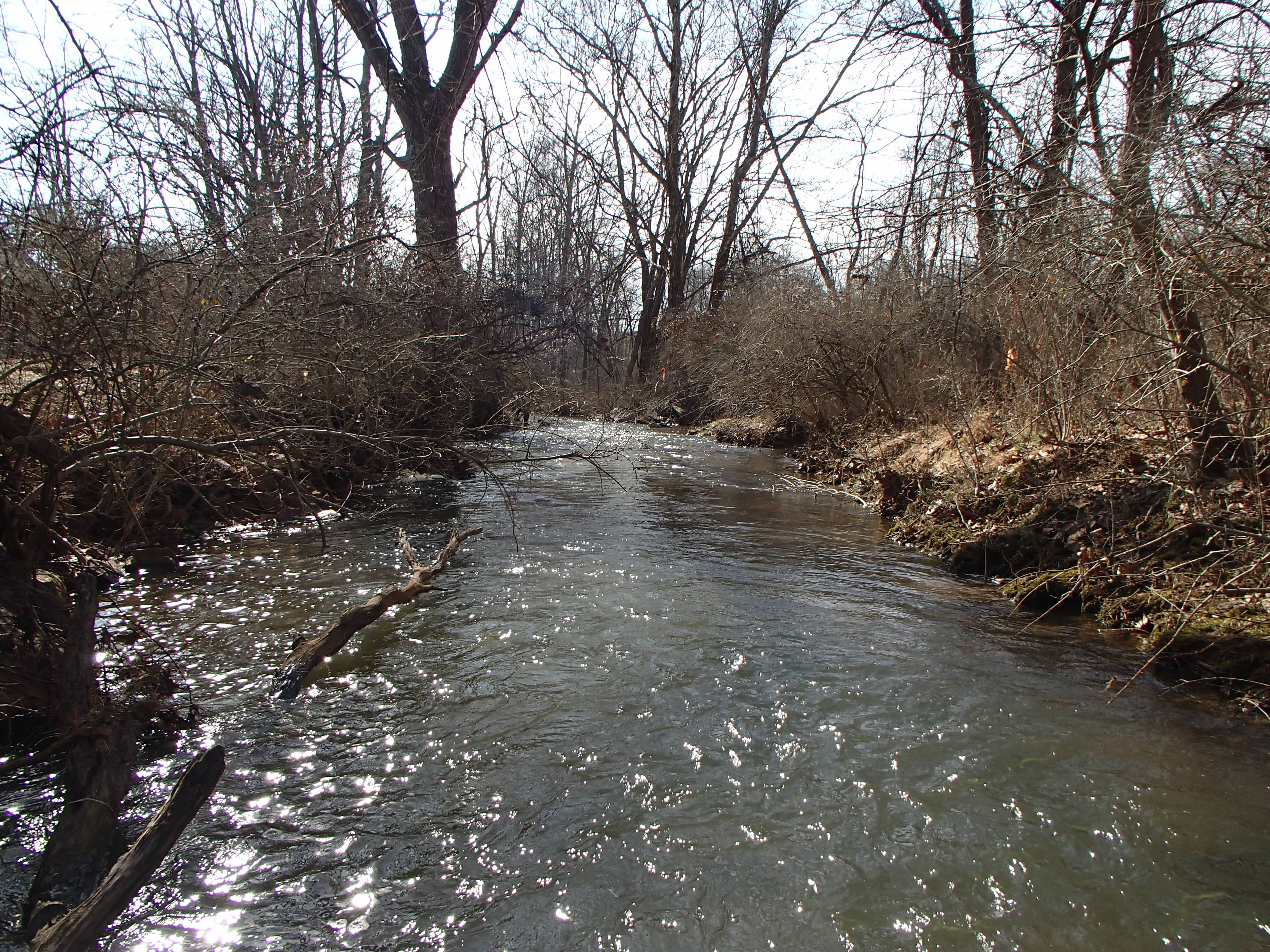 Field photo showing stream conditions at site SBPA-205-X-2016_midpoint looking downstream